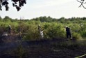 Waldbrand Koeln Hoehenhaus Hoehenfelder Mauspfad P097